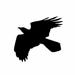 emiRaven