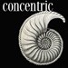 concentric avatar