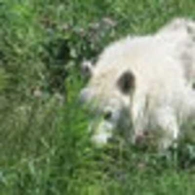 Heather's profile picture