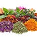 OrganicSpiceHerbs