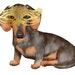Buyer Avatar