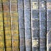 GildedLeatherCo