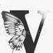 V-design US