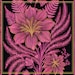 NocturneBotanicaArt