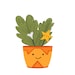 Buyer Avatar