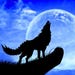 BlackWolfDesigns21
