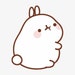 Buyer Avatar