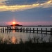 Treasurebeachfinds