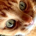 Agnieszka avatar