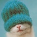 Buyer Avatar