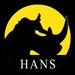 hanslapidarytool