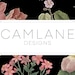 CamLane Designs