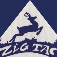 TheZigTacExperience