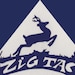 TheZigTacExperience