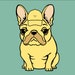 The Grumpy Pet