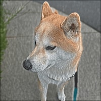 TaroDepato