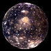 Buyer Avatar