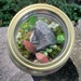 JarScape Terrariums