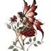 Buyer Avatar
