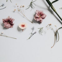ScrapbookwithMay