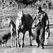 WelkerWesternPrints