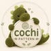cochipattern