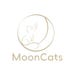 MoonCatsWorkshop