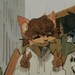 Buyer Avatar