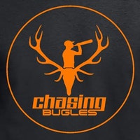 ChasingBugles