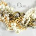 tinyocean