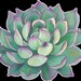Buyer Avatar