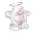 Buyer Avatar
