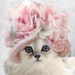 Lacote