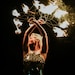 BlazeFireshowProps