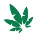 GoodHempUnderwear
