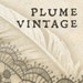 PlumeVintageShop avatar