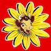 Buyer Avatar