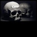 DieRiseKillStudio