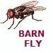 BarnFly