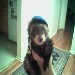 Buyer Avatar