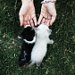 littlehopes