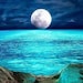 AquaMoon1111