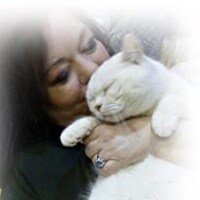 Design4pets