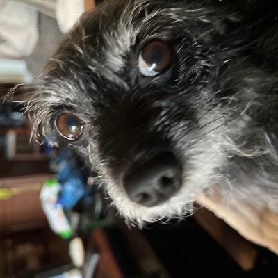 Robert's profile picture