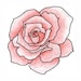 Jacob Williams avatar
