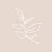 DelaterreDesignHouse