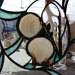 Paula Buckley avatar