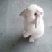 Buyer Avatar