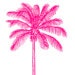 pinkpalmtree