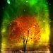 Propietario de <a href='https://www.etsy.com/mx/shop/TwilightsCastle?ref=l2-about-shopname&from_page=listing' class='wt-text-link'>TwilightsCastle</a>